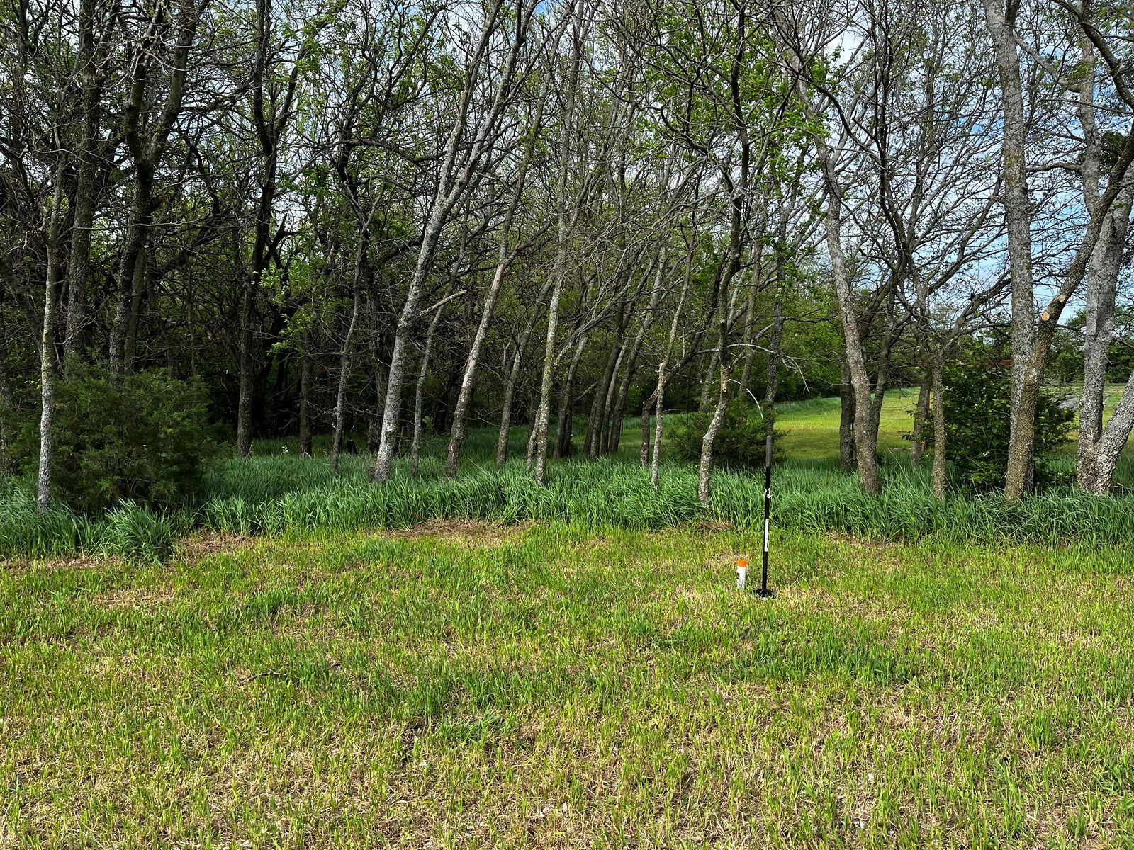 The site before work began